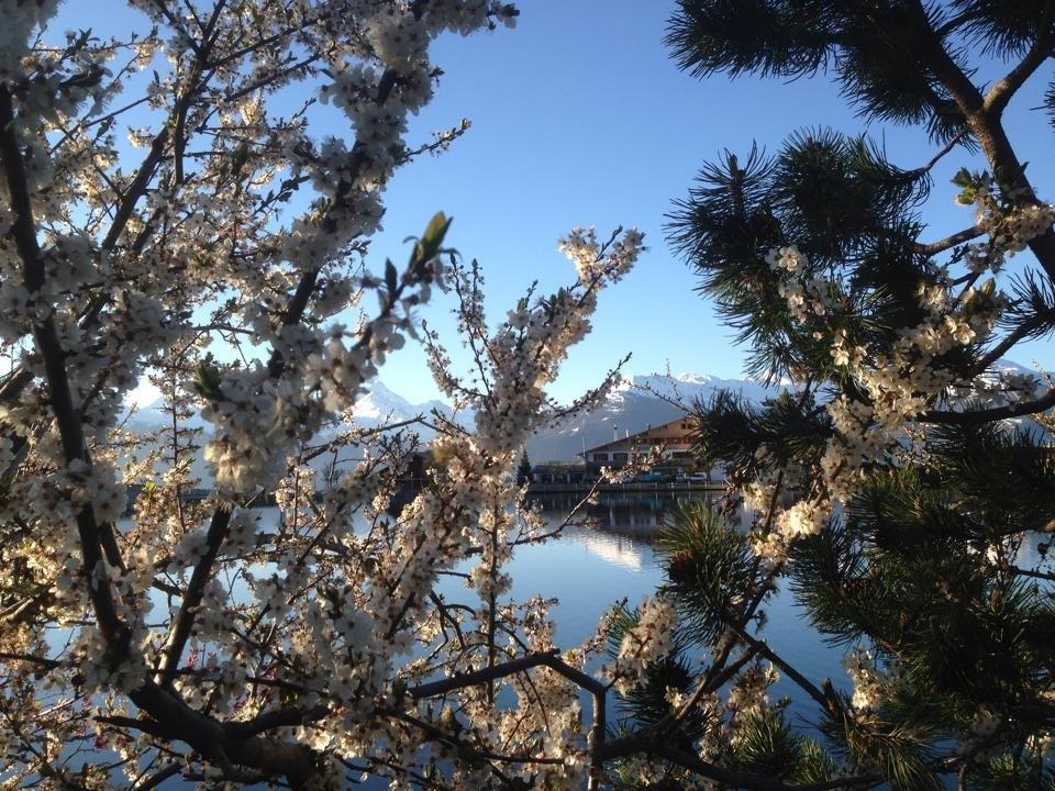 Hotel Du Lac Crans-Montana Exterior photo